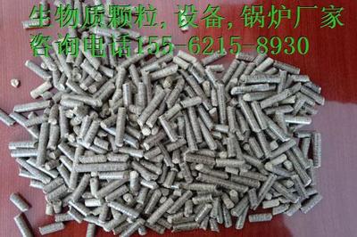 安徽生物质锅炉价格优惠质优，新兴能源技术研发引领绿色未来
